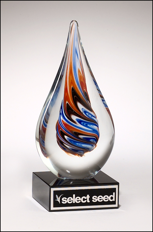 Art Glass Award | LASER ENGRAVED AWARDS  ATLANTA