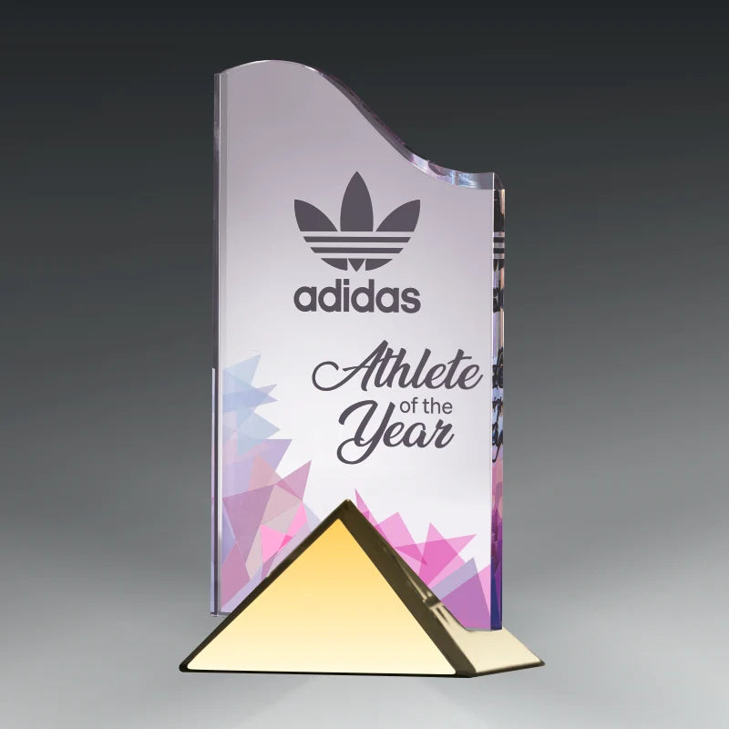 ACRYLIC WAVE AWARD WITH METAL BASE