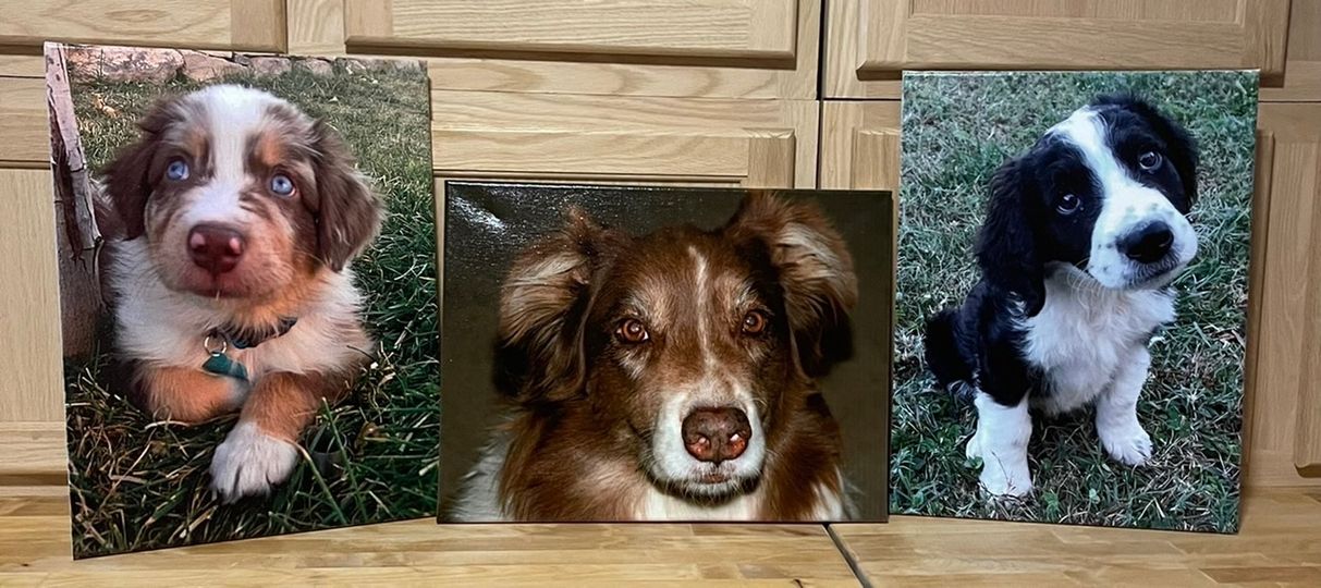 UV PRINTING ON CANVAS