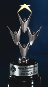 STAR PERFORMER AWARD - SILVER FINISH W/ GOLD STAR