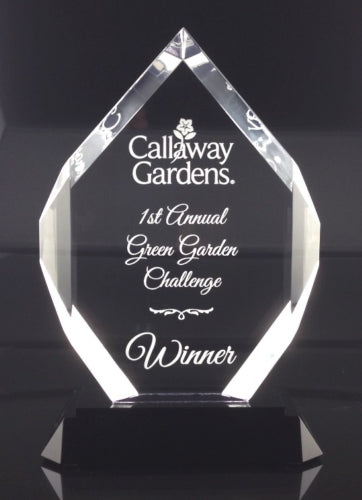 CLEAR LUCITE ROYAL DIAMOND