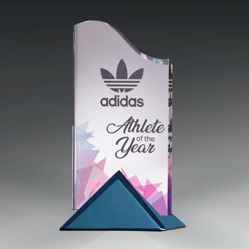 ACRYLIC WAVE AWARD WITH METAL BASE