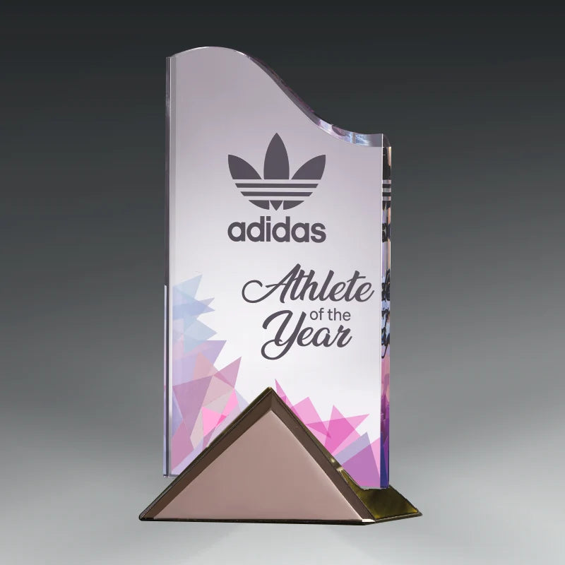 ACRYLIC WAVE AWARD WITH METAL BASE