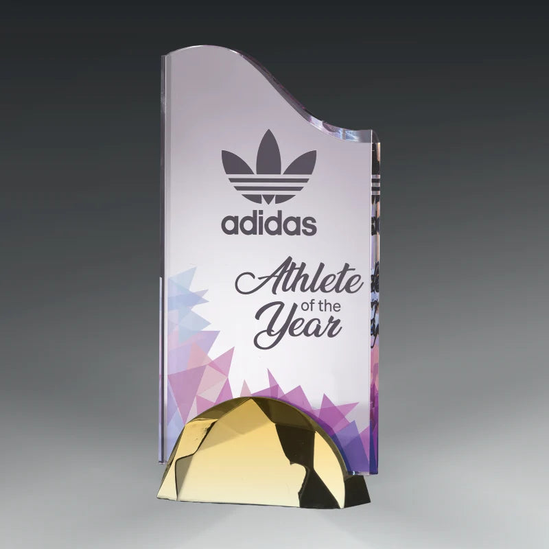 ACRYLIC WAVE AWARD WITH METAL BASE