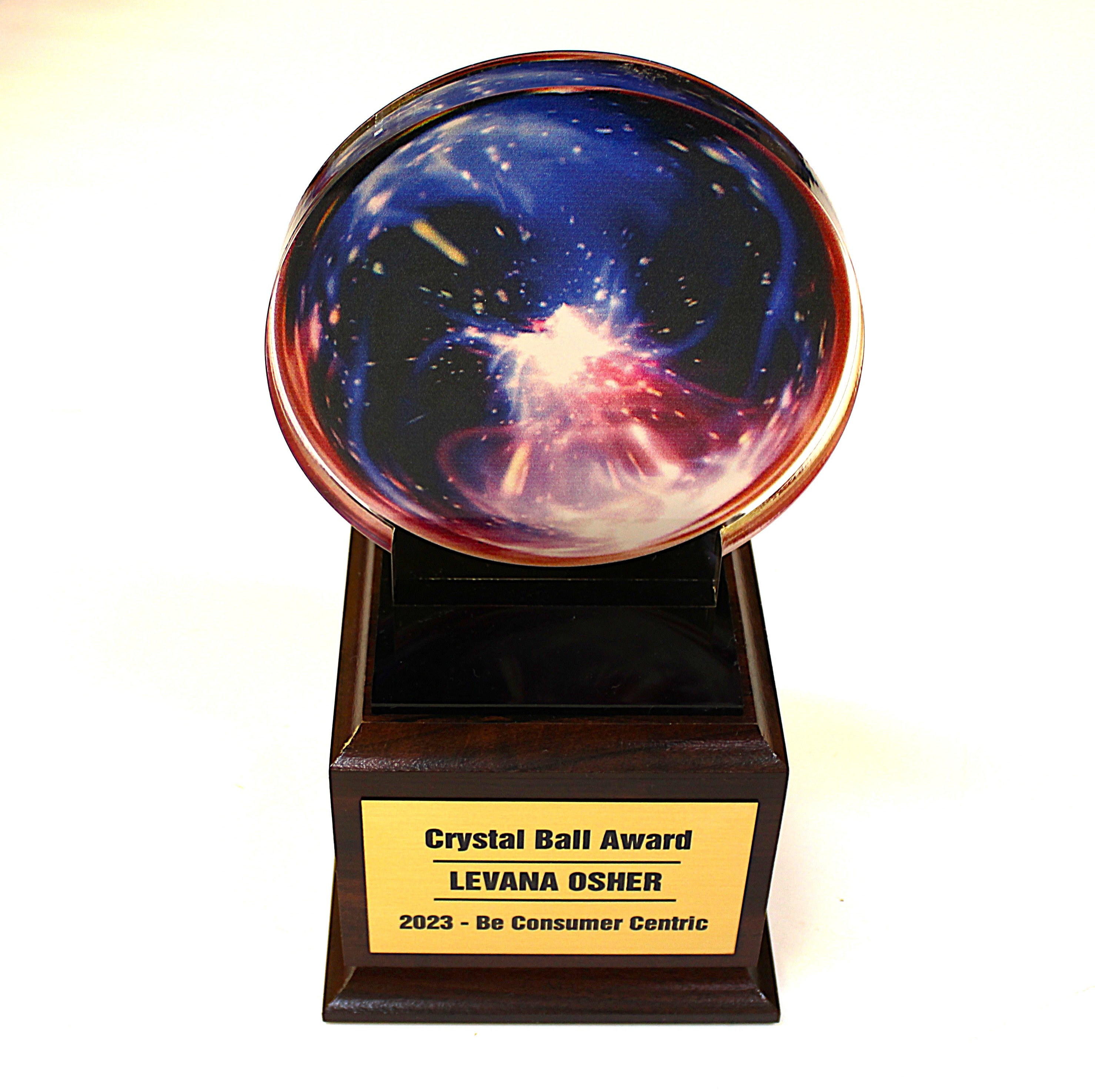Lucite acrylic award ideal as a Deal Toy or Tombstone with corporate logo or mascot.