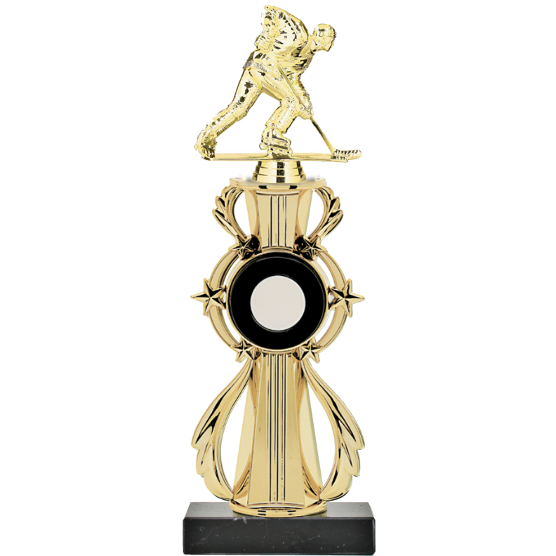 3D Full Color Sport Ball Star Riser Award Trophy