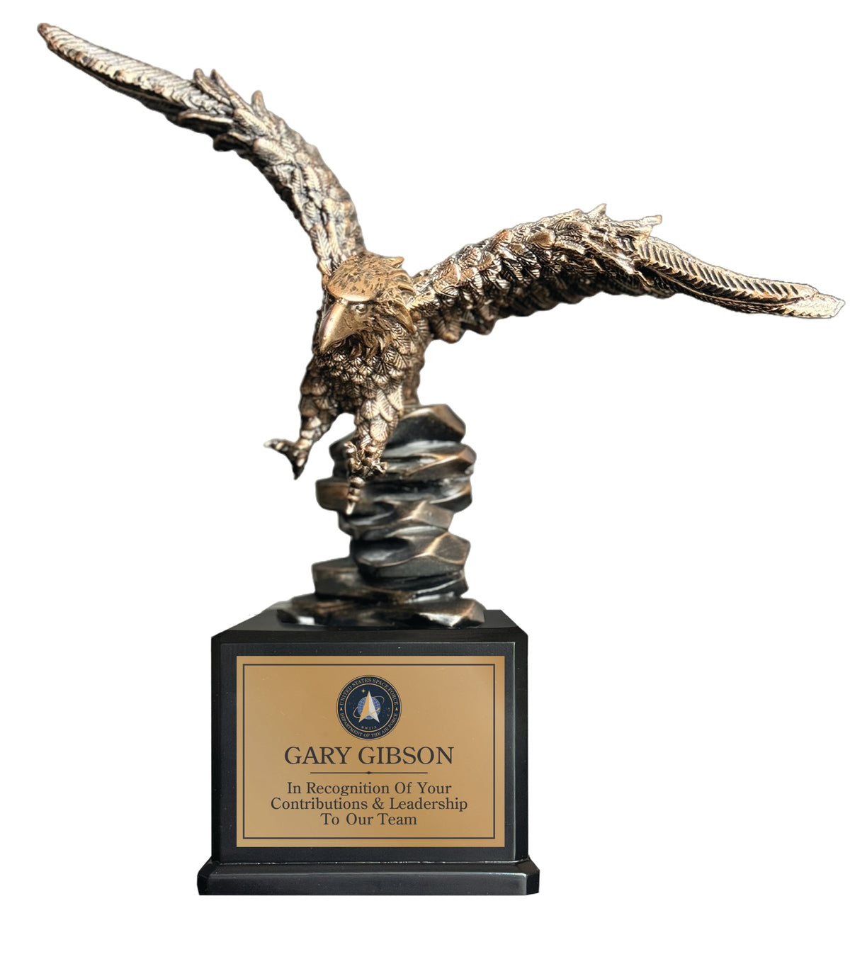 Large Landing Eagle